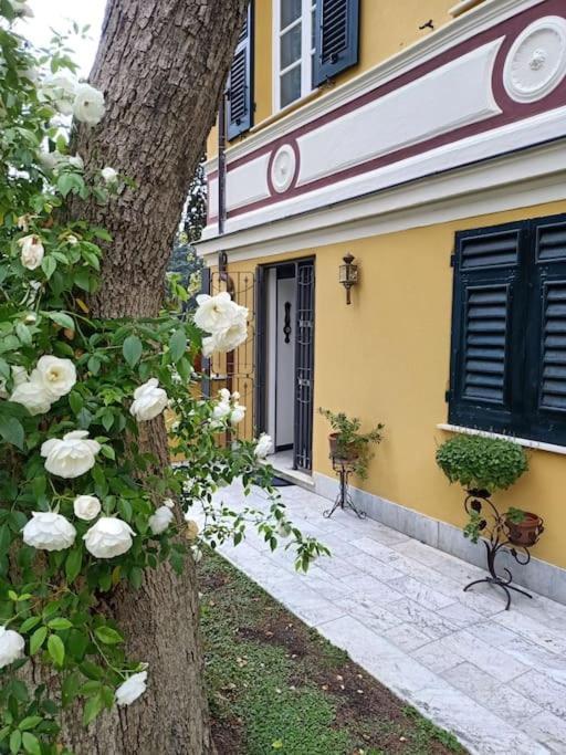 Casetta Jacaranda Gênes Extérieur photo